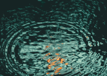 Marriott Rolls Out Welltech Across Luxury Properties as Spa Strategy Moves Beyond Traditional Offerings