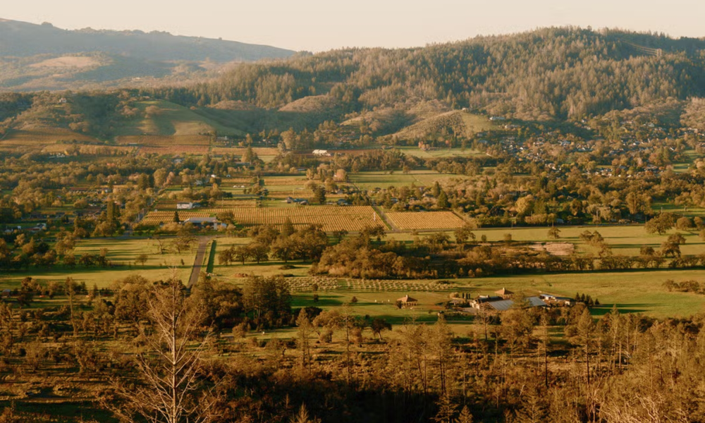Soho House to open 350-acre Ranch House in Sonoma in 2027