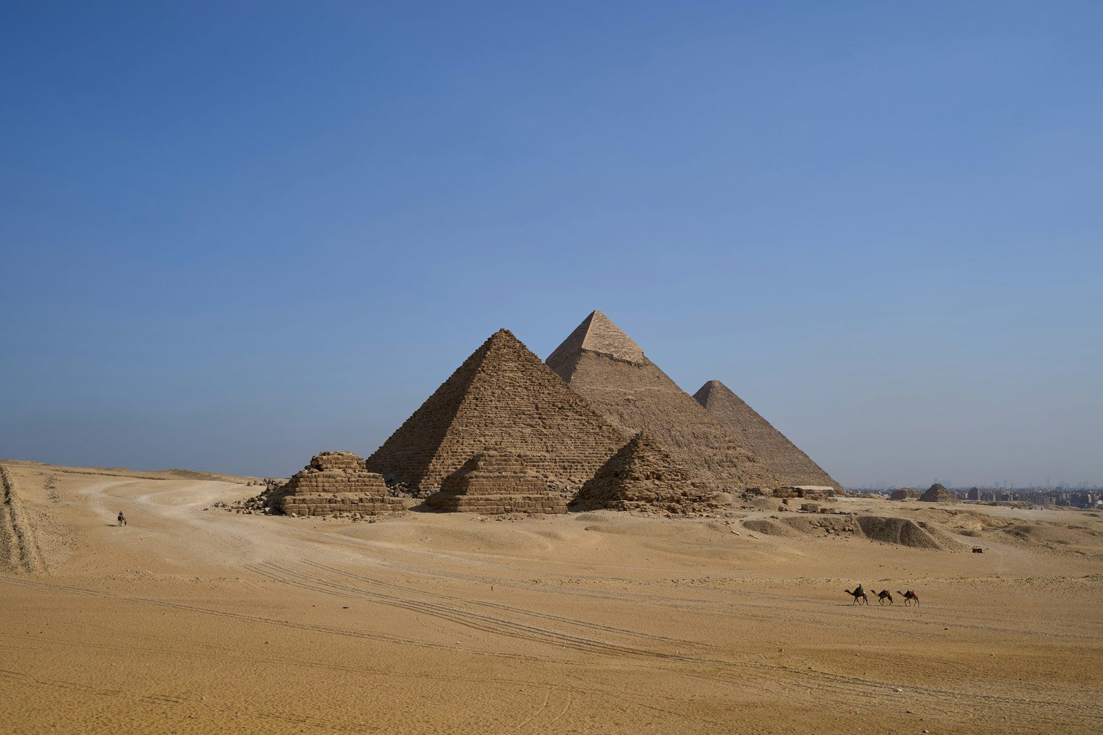 The Pyramids of Giza rising above the Egyptian desert, with camels in the foreground.